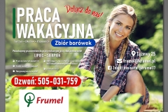 frumel_2